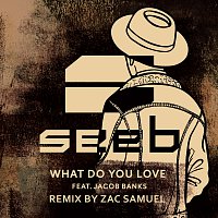 Seeb, Jacob Banks – What Do You Love [Zac Samuel Remix]