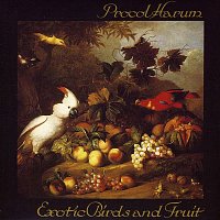 Procol Harum – Exotic Birds and Fruit