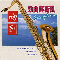 Přední strana obalu CD SAXOPHONE Vol.2