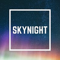 Přední strana obalu CD Skynight