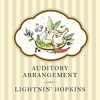 Lightnin Hopkins – Auditory Arrangement