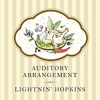 Lightnin Hopkins – Auditory Arrangement