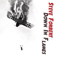 Steve Forbert – Down In Flames