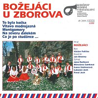 Přední strana obalu CD U Zborova