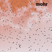 Mohr – Mohr