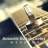 Chris Mercer, Zack Rupert, Richie Aikman, Django Wallace, James Shanon, Ed Clarke – Acoustic Guitar Covers Wedding