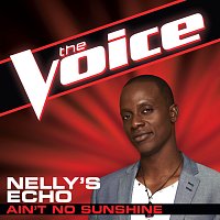 Nelly's Echo – Ain't No Sunshine [The Voice Performance]