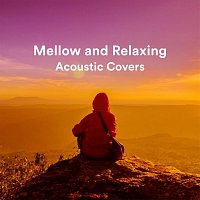 Různí interpreti – Mellow and Relaxing Acoustic Covers