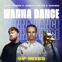 Přední strana obalu CD Wanna Dance (VIP Mixes)