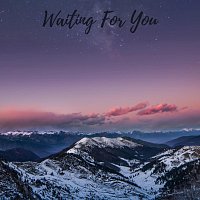 Přední strana obalu CD Waiting for You