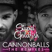 Stupid Goldfish – Cannonballs (The Remixes)
