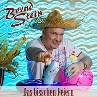 Bernd Stein – Das bisschen Feiern (Das bisschen Haushalt)