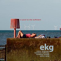 ekg  Oskar Aichinger, Susanna Heilmayr, Burkhard Stangl, Achim Tang – A Word To The Sufficient