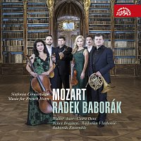 Přední strana obalu CD Mozart: Koncertantní symfonie, hudba pro lesní roh