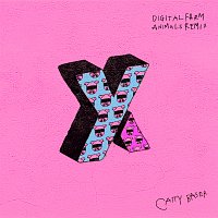 Caity Baser – X&Y [Digital Farm Animals Remix]
