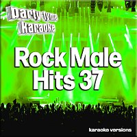 Party Tyme Karaoke – Rock Male Hits 37 [Karaoke Versions]
