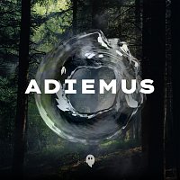 AVA CROWN, 3rd Wall – Adiemus