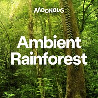 Sleepy Baby Sounds – Ambient Rainforest