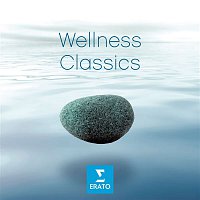 Přední strana obalu CD Wellness Classics