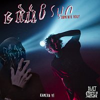 Edúv Syn, Dominik Holy – Kamera ví