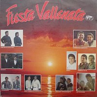 Vallenato – Fiesta Vallenata vol. 17 1991