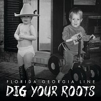 Přední strana obalu CD Dig Your Roots