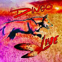 Dingo – Live