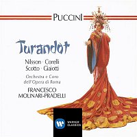 Přední strana obalu CD Puccini - Turandot