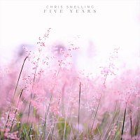 Přední strana obalu CD Five Years