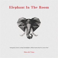 Nico & Vinz – Elephant in the Room