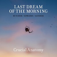 Last Dream of the Morning – Crucial Anatomy