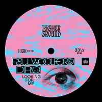 Paul Woolford & Diplo & Kareen Lomax – Looking for Me