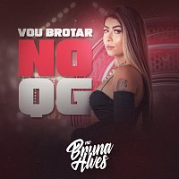 MC Bruna Alves – Vou Brotar No QG