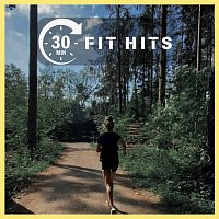 Různí interpreti – 30 Mins : Fit Hits