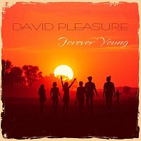 Přední strana obalu CD Forever Young