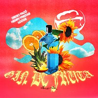Diego Faco, Henry Freitas, LOCOS – Gin De Fruta [Remix Locos]