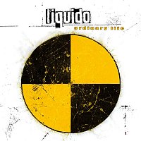 Přední strana obalu CD Ordinary Life