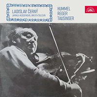 Přední strana obalu CD Hummel - Reger - Tausinger