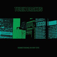 Turin Brakes – Something In My Eye