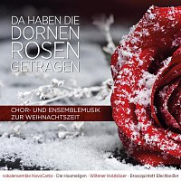 Da haben die Dornen Rosen getragen - Chor- und Ensemblemusik zur Weihnachtszeit