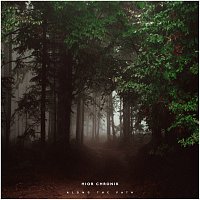 Přední strana obalu CD Along the path