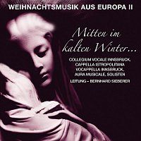 Cappella Istropolitana, Monika Mauch, Nathalie Gaudefroy, Vocappella Innsbruck – Mitten im kalten Winter - Weihnachtsmusik aus Europa, Vol. II