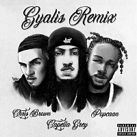 Capella Grey, Popcaan, Chris Brown – GYALIS [Remix]