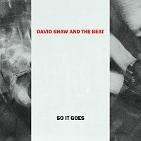 David Shaw And The Beat – So It Goes