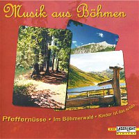 Various Artists.. – Musik aus Bohmen