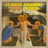 Heiner Hopfner, Nikolaus Hillebrand, Frank Sahesch-Pur, Roman Hankeln, Aldo Baldin – Bach, J.S.: St. John Passion, BWV 245