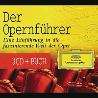 Přední strana obalu CD The Yellow Guide To Opera