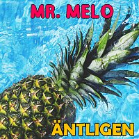 Mr. Melo – Antligen