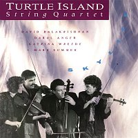 Turtle Island String Quartet – Skylife