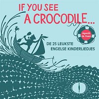 Ageeth De Haan – If You See A Crocodile